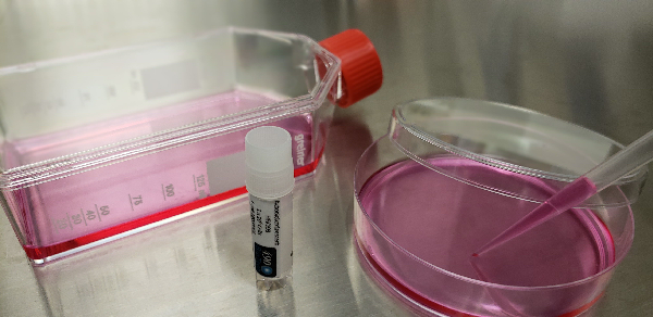 Image of a petri dish with other scientific equipment