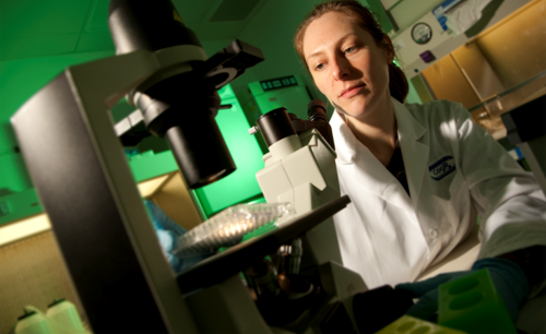 Female scientist in a lab in front of a microscope