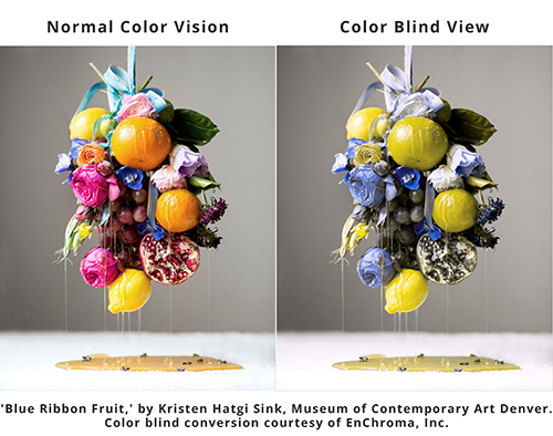difference between regular and color blind vision