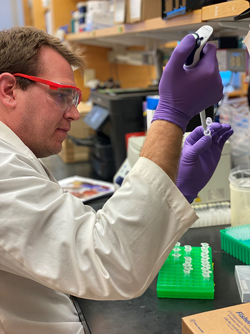 Nick Schwertner studying the pathway of a novel immunomodulator