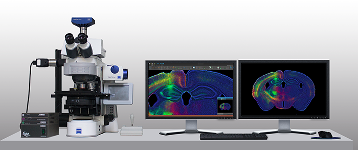 A Neurolucida system for multi-channel fluorescence imaging, whole slide scanning, brain mapping and neuron analysis.  