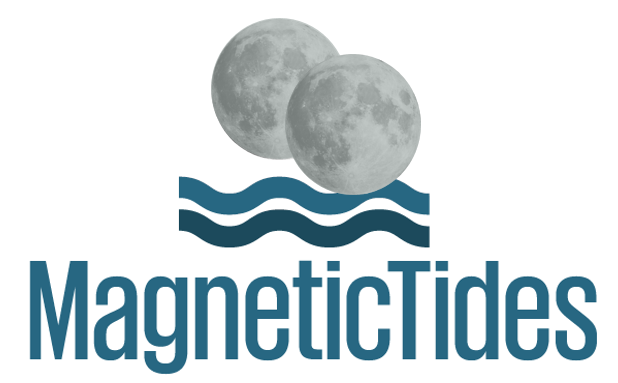 Magnetic Tides logo