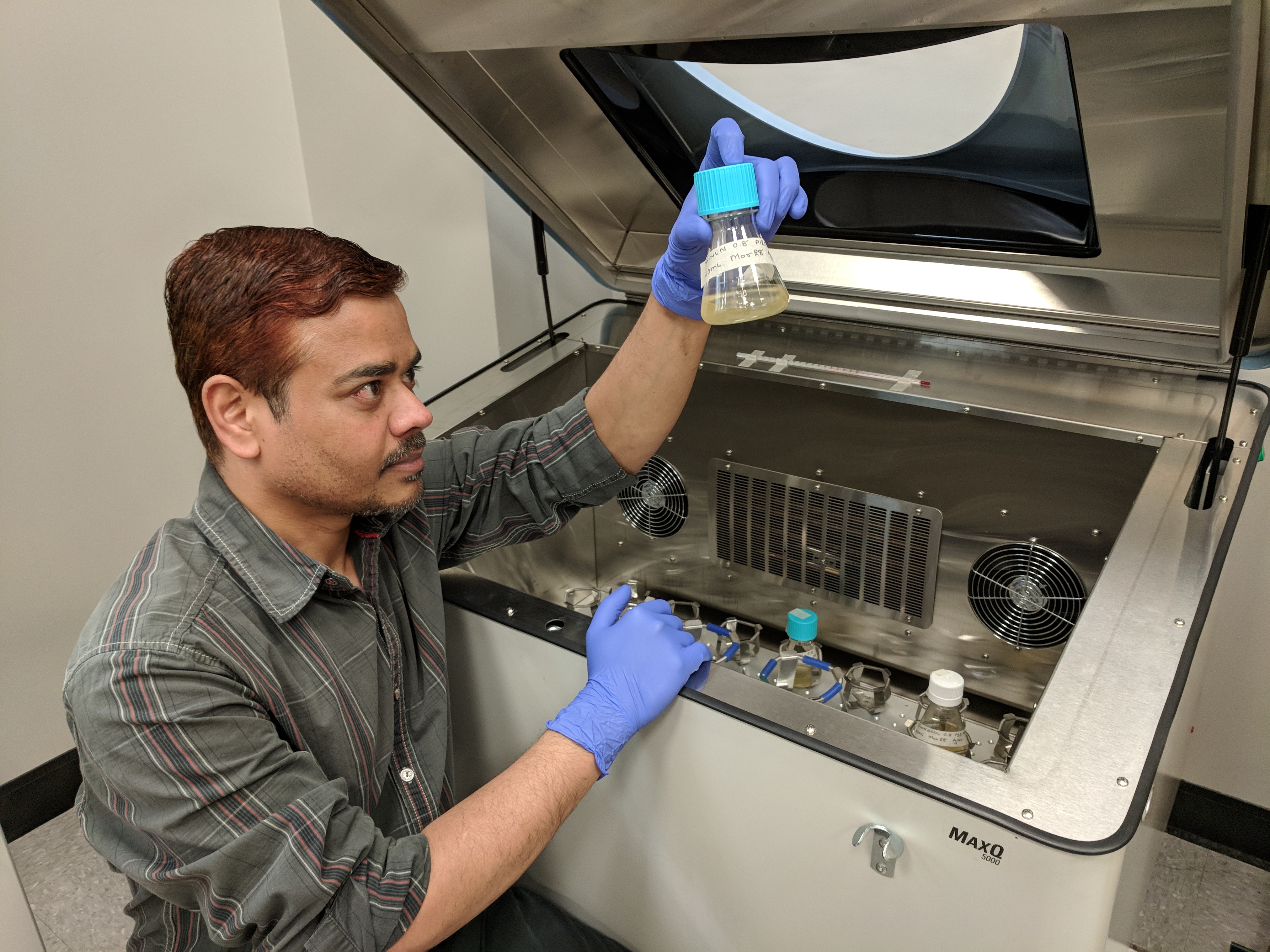 A GlycoBac technician looks at some of the company’s product in a vial.